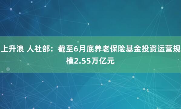 上升浪 人社部：截至6月底养老保险基金投资运营规模2.55万亿元
