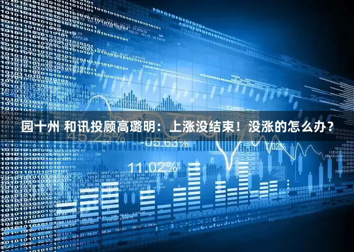 园十州 和讯投顾高璐明：上涨没结束！没涨的怎么办？