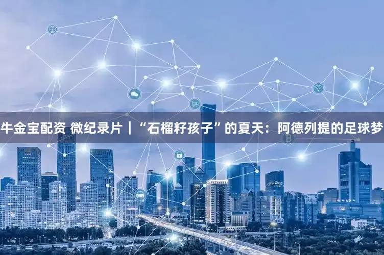 牛金宝配资 微纪录片｜“石榴籽孩子”的夏天：阿德列提的足球梦