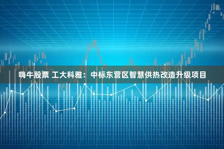 嗨牛股票 工大科雅：中标东营区智慧供热改造升级项目
