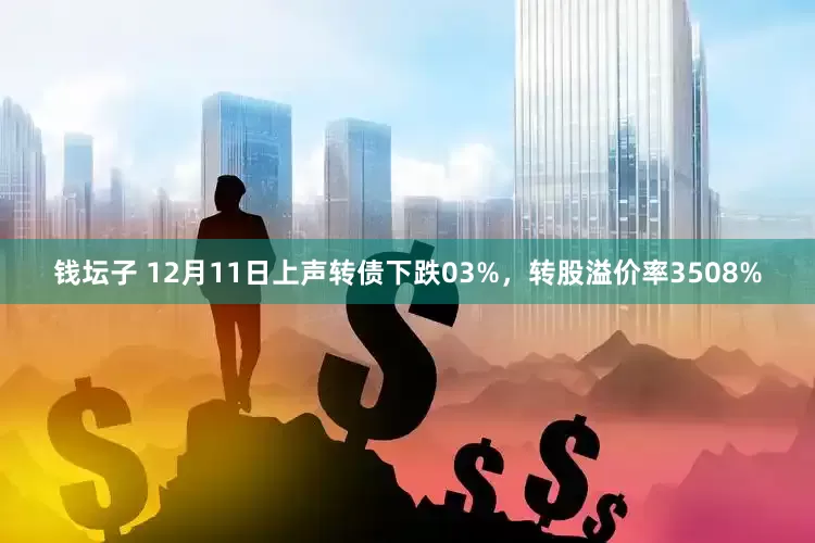 钱坛子 12月11日上声转债下跌03%，转股溢价率3508%